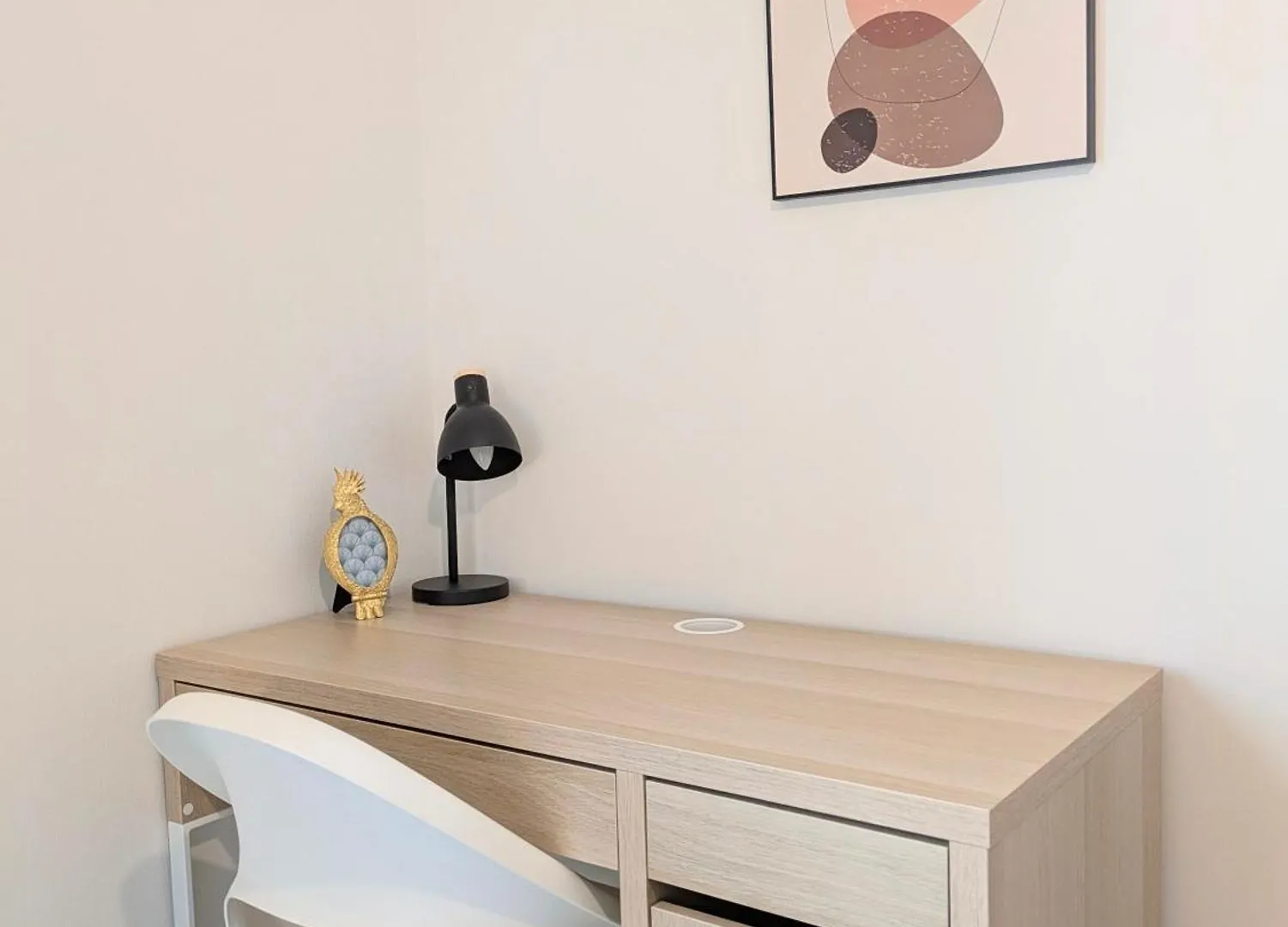 Chambres Privees Dans Appartement Partage Toulouse Francie